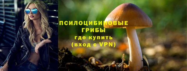 ECSTASY Балахна