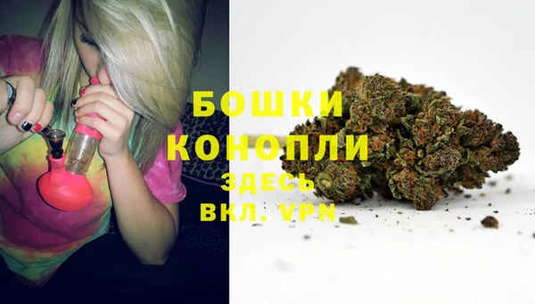 Альфа ПВП Балабаново